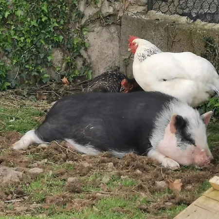 Au Domaine De Gigie Bed & Breakfast *