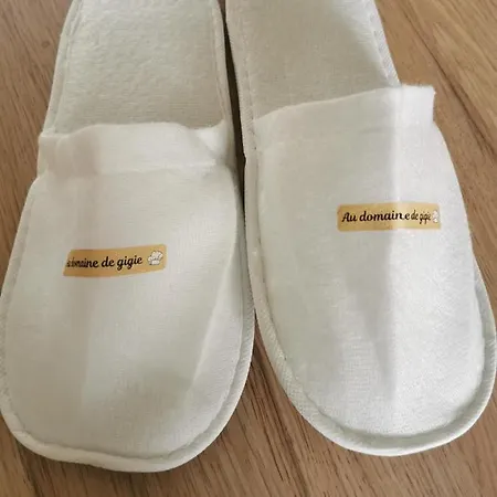 Au Domaine De Gigie B&B