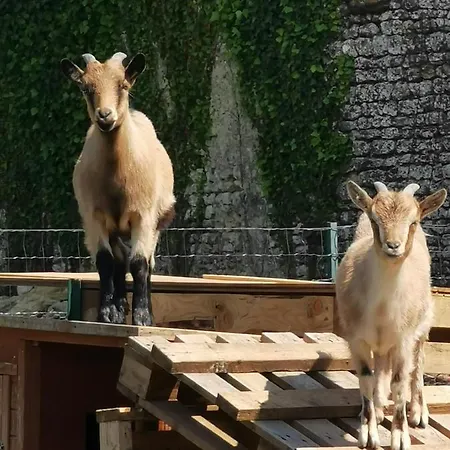 Bed & Breakfast Au Domaine De Gigie