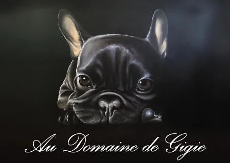 Au Domaine De Gigie B&B 3*