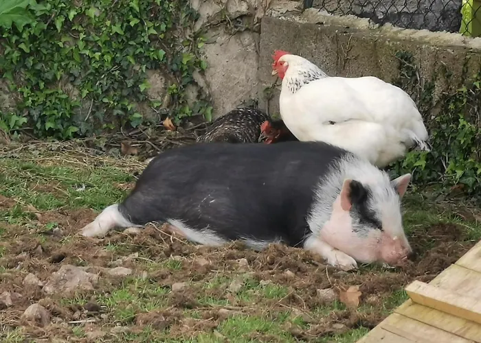 Au Domaine De Gigie Alojamento de Acomodação e Pequeno-almoço 3*
