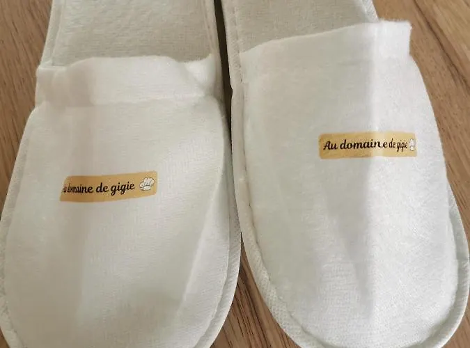 Au Domaine De Gigie Alojamento de Acomodação e Pequeno-almoço