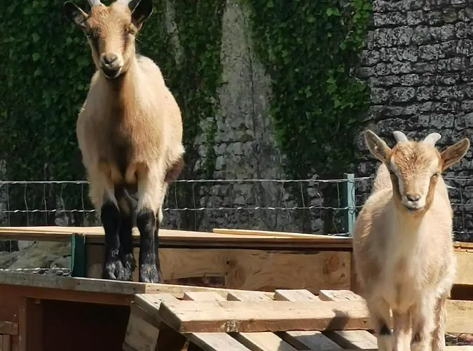 Alojamento de Acomodação e Pequeno-almoço Au Domaine De Gigie